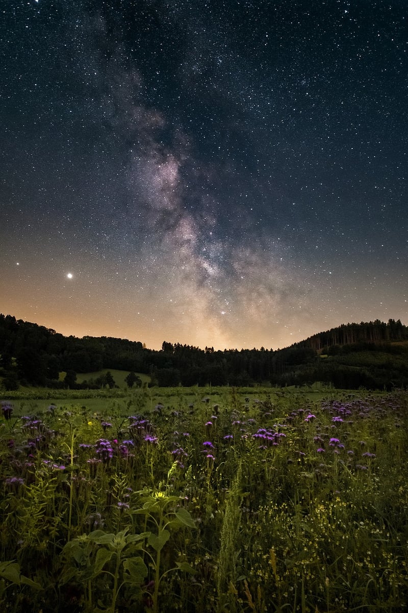 Starlit Curtains